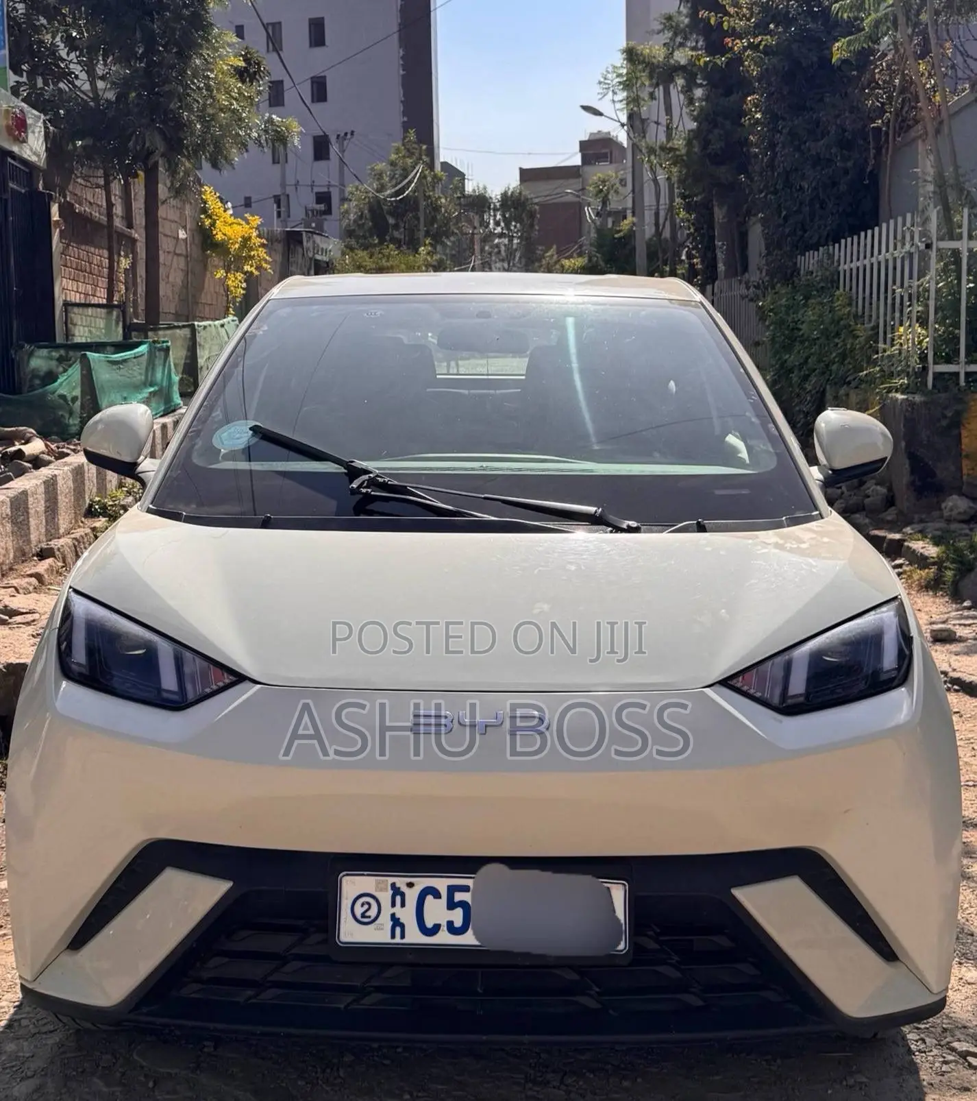New BYD Seagull 2024 White