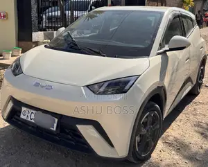 New BYD Seagull 2024 White