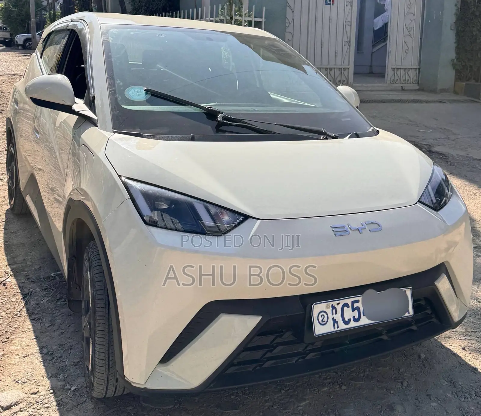 New BYD Seagull 2024 White