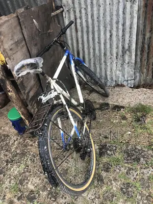 Original Phoenix Heavy-Duty Bicycle – Excellent Condition