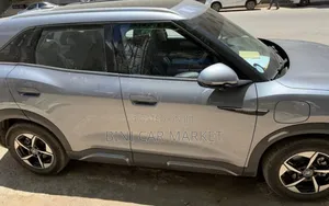 BYD Yuan Up 45 kWh FWD 2024 Gray