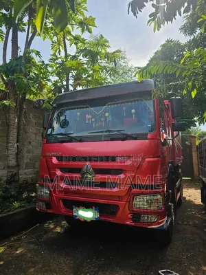 Sino for Sale