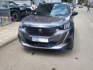 Peugeot 2008 2022 Gray