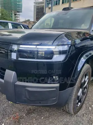 New BYD Leopard 7 2025 Black