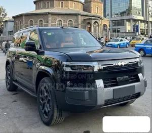 BYD Leopard 7 2025 Black