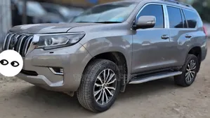Toyota Land Cruiser 2021 Brown