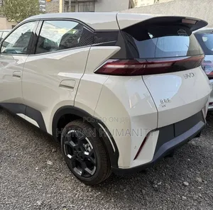 New BYD Seagull 2025 White