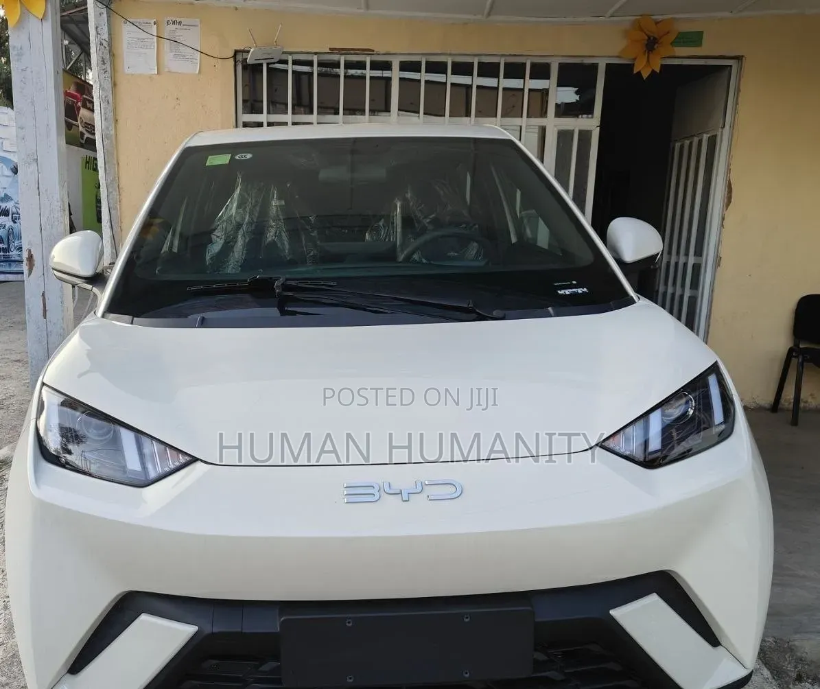 New BYD Seagull 2025 White