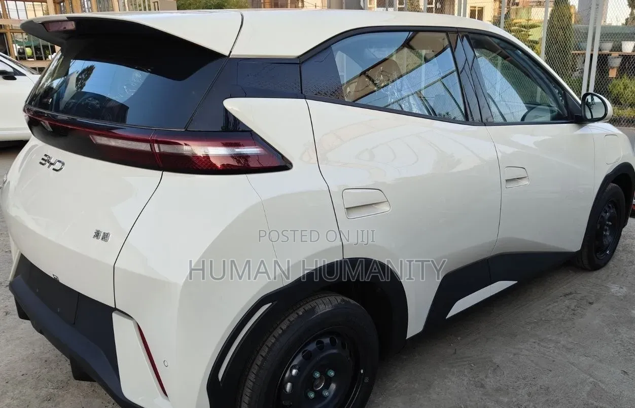 New BYD Seagull 2025 White