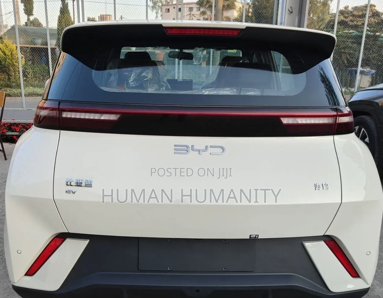 New BYD Seagull 2025 White