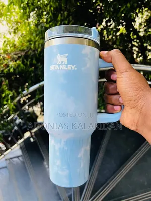 Stanley Mugs With Straw (Travel Cup)