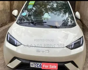 New BYD Seagull 38 kWh FWD 2024 White