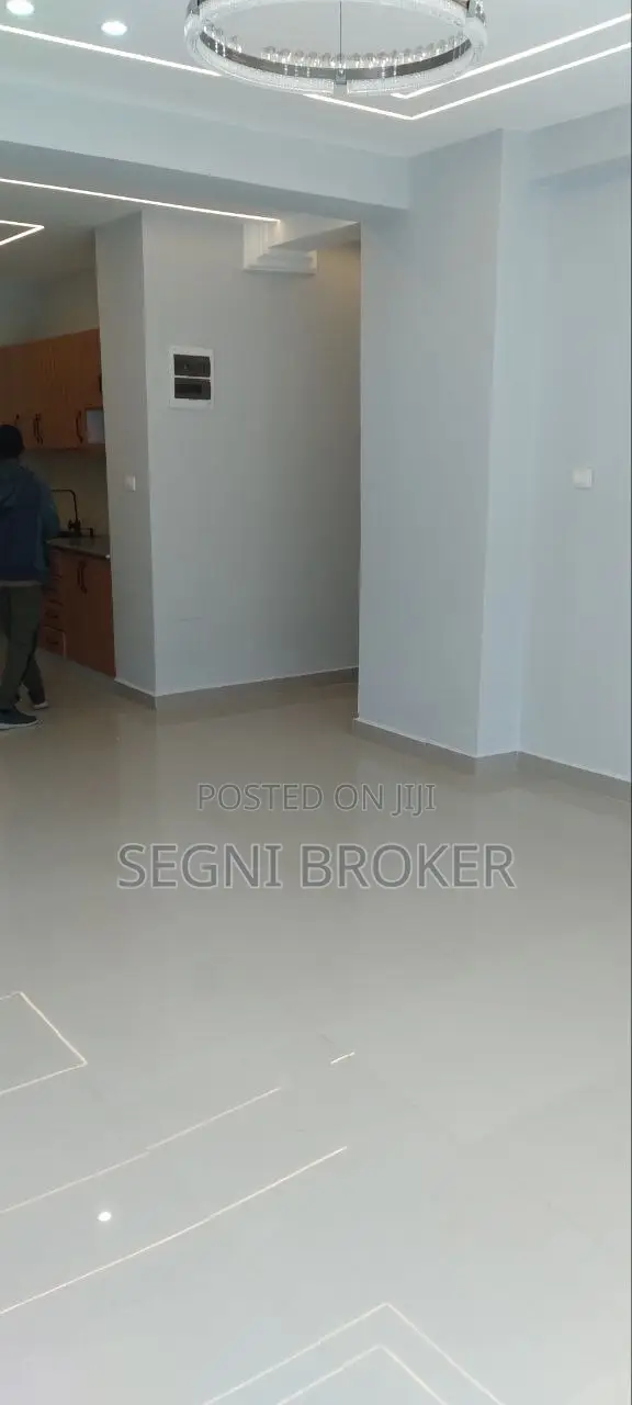 Furnished 3bdrm Apartment in Bole, Figa for rent