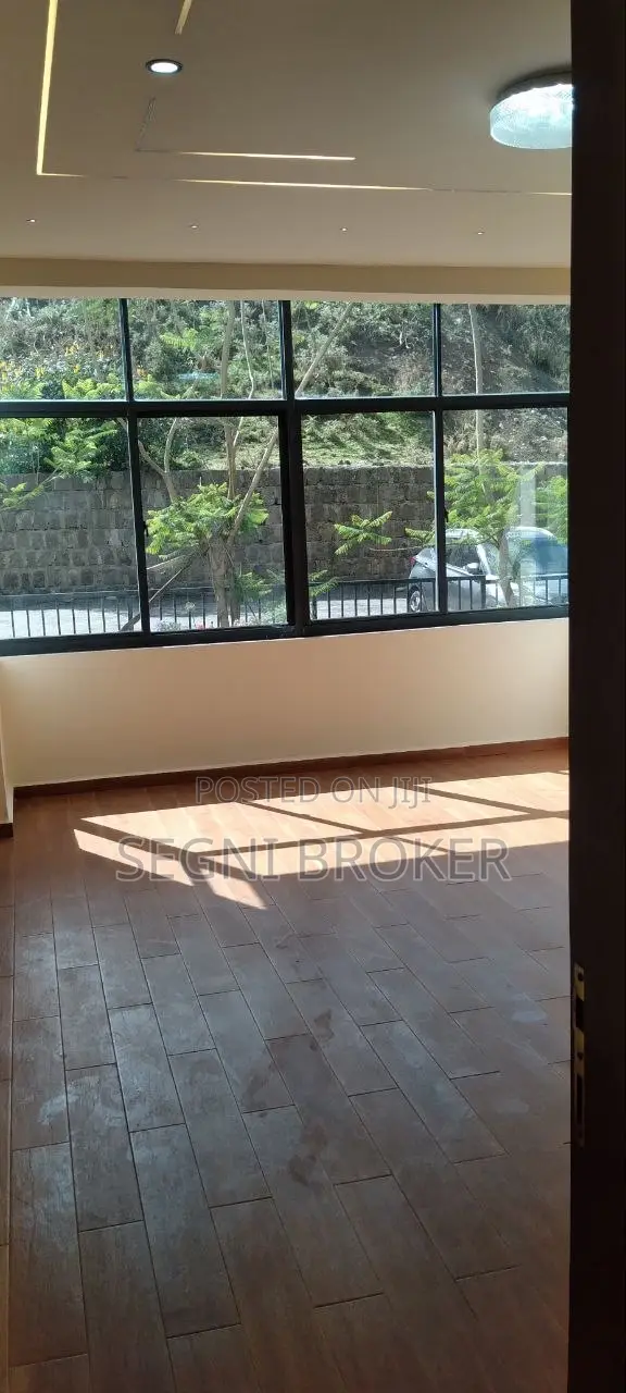 Furnished 3bdrm Apartment in Bole, Figa for rent