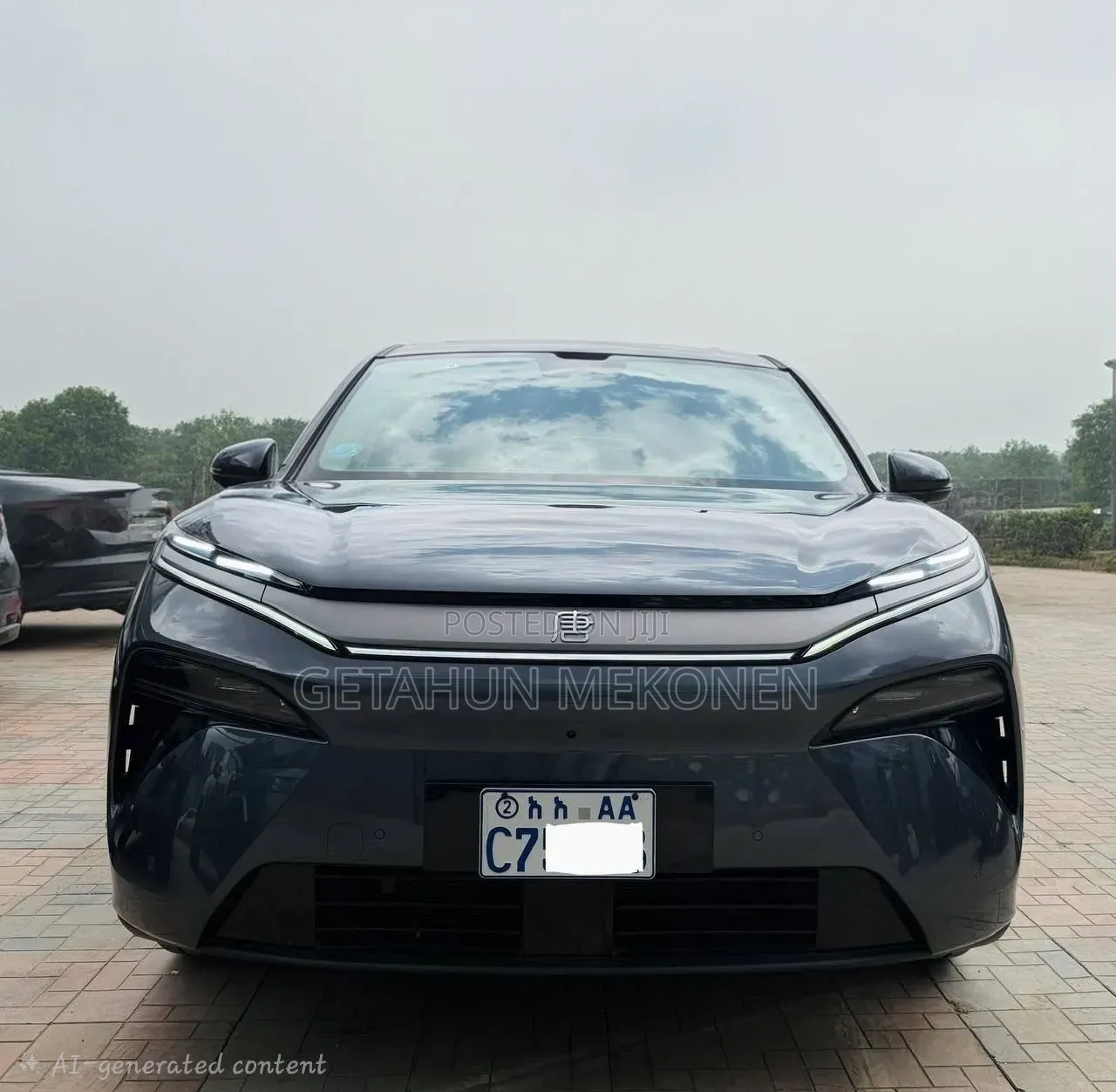 New BYD Tang EV 2025