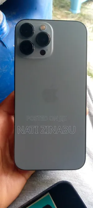 Apple iPhone 13 Pro Max 256 GB Gray