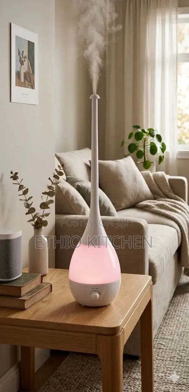 Electric Humidifier