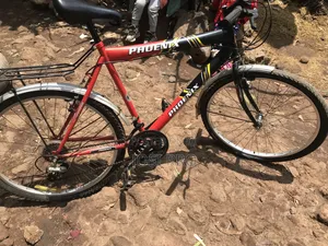 Bicycle Phonix