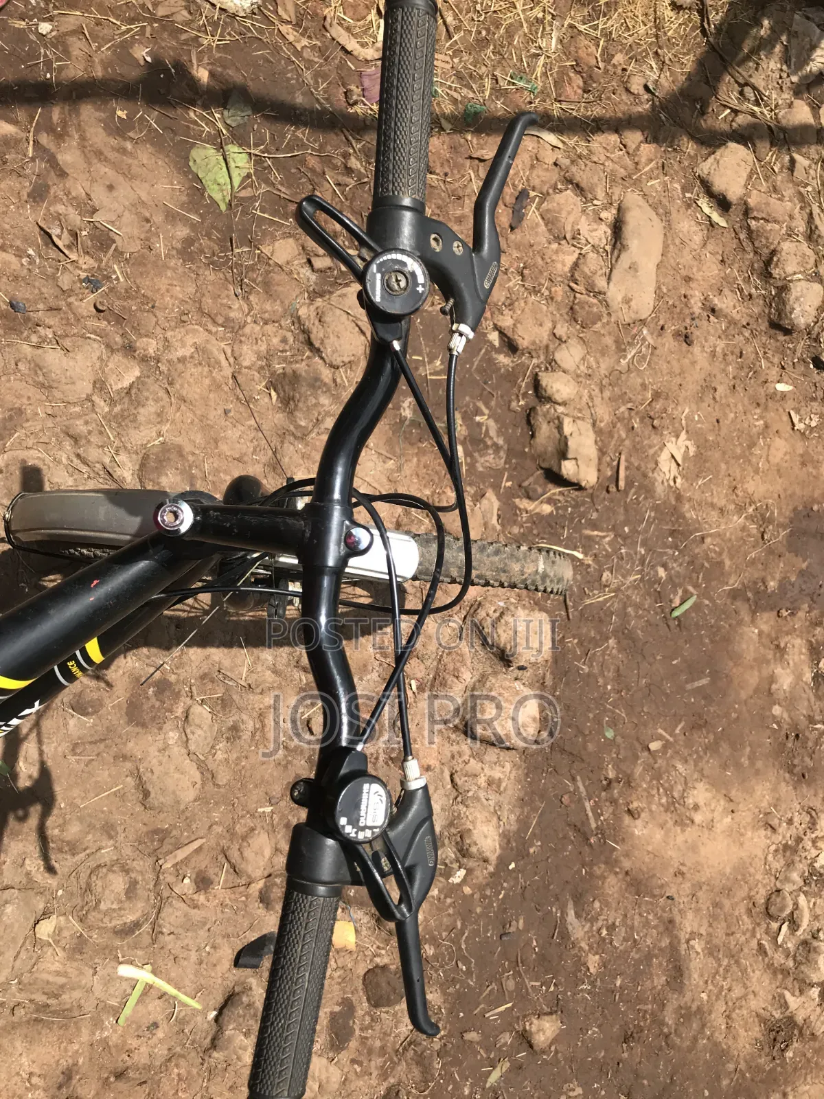 Bicycle Phonix