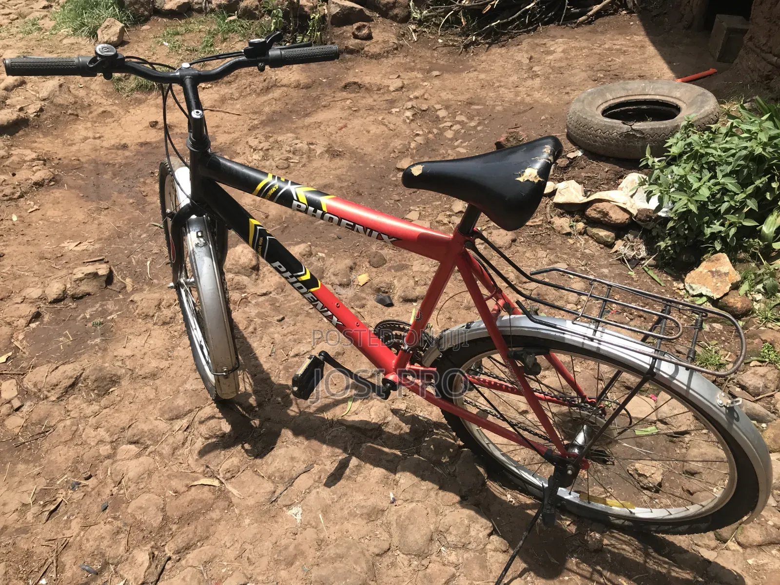 Bicycle Phonix