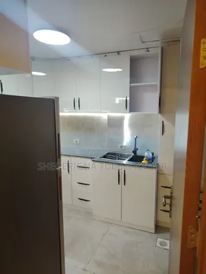Furnished 4bdrm Apartment in Bole for rent