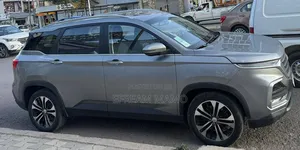 Chevrolet Captiva 2021 Gray