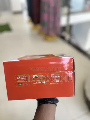 Pozzer 130-Inch Projector