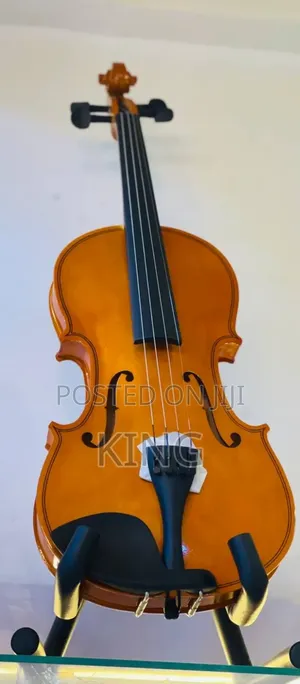 Brand New Violin