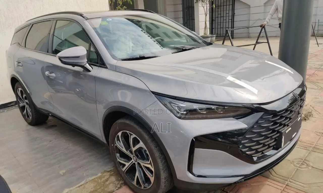 New BYD Tang DM-i 2025 Brown