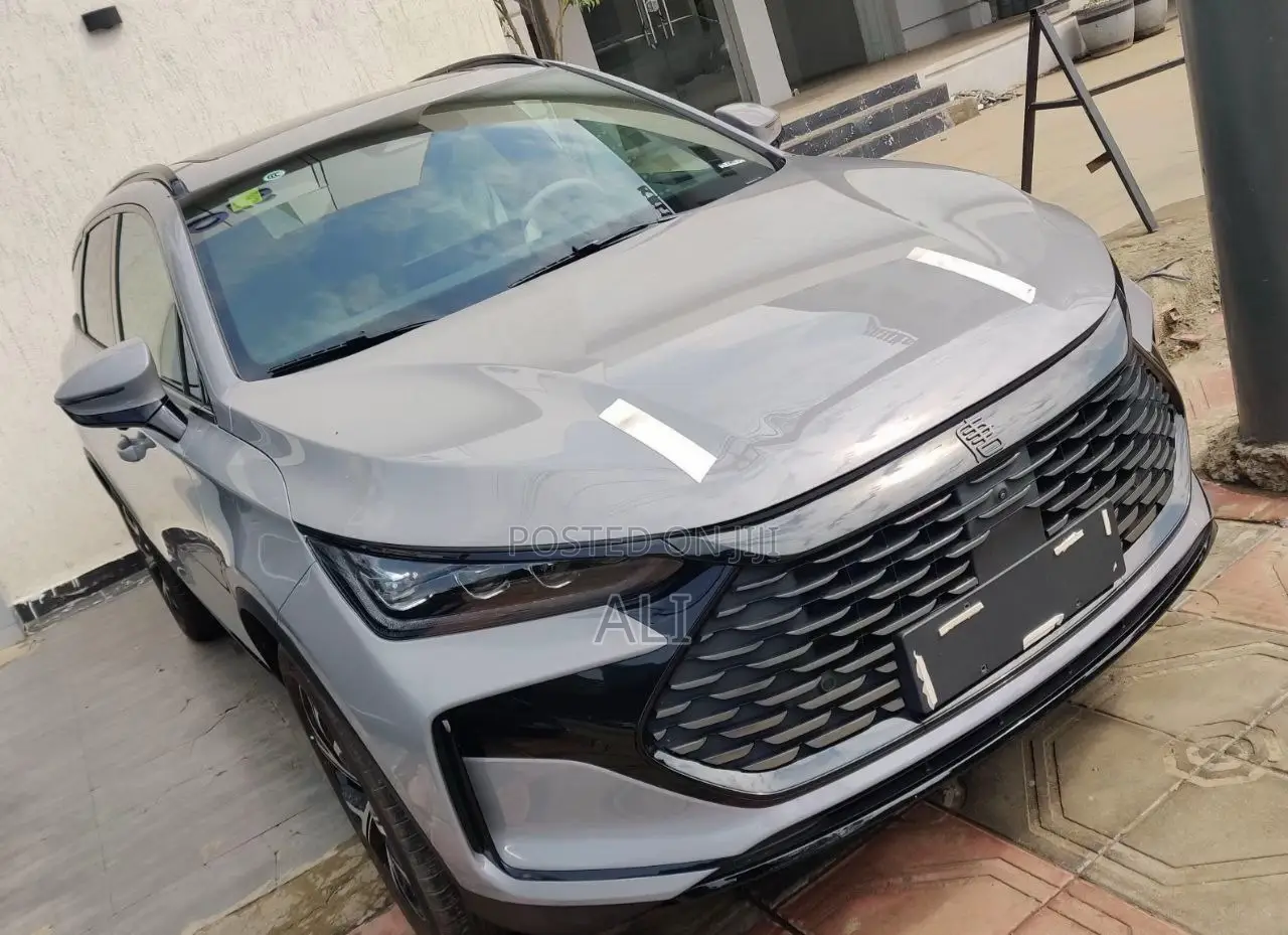 New BYD Tang DM-i 2025 Brown