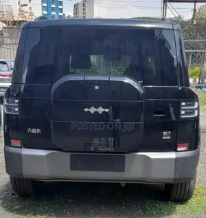 New BYD Leopard 7 2025 Black