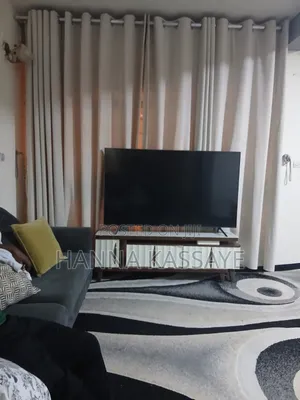Samsung 65 Inch Tv Broken Screen