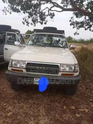 Toyota Land Cruiser 1993 White