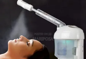 Mini Steam Beauty