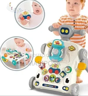3 In 1 Activity Walker
