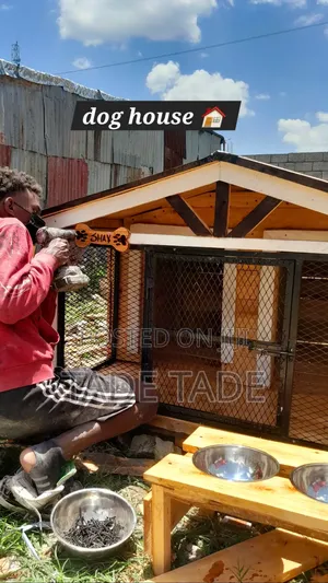 አለማየሁ Very Smart Dog House Work