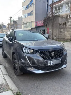 Peugeot 2008 2022 Gray
