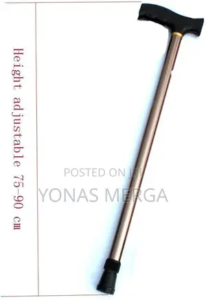 Walking Sticks / Pe Care Small T-Handle