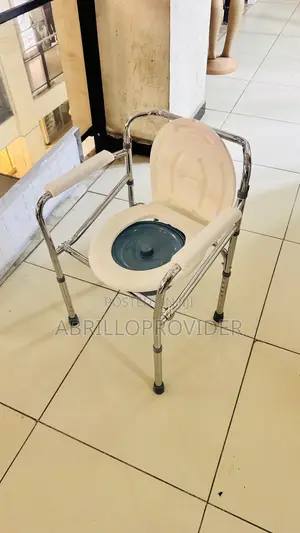 Toilet Bedside Commode Chair
