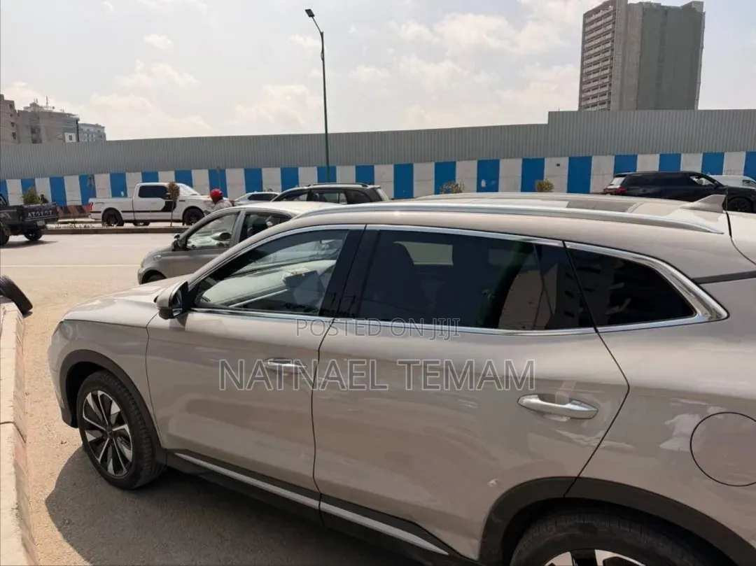 BYD Song Plus 2024 Brown
