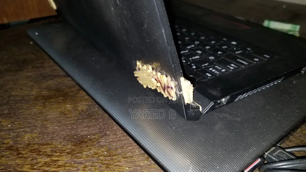 Laptop Lenovo 4GB Intel Celeron SSD 128GB