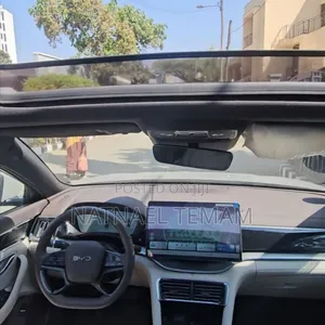 BYD Song Plus 2024 Brown