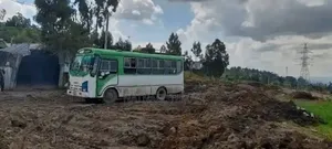 Isuzu Executive Bus 2003 White