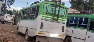 Isuzu Executive Bus 2003 White