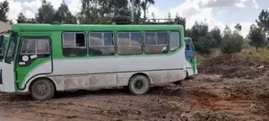 Isuzu Executive Bus 2003 White