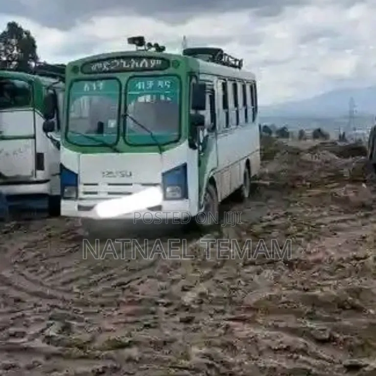 Isuzu Executive Bus 2003 White