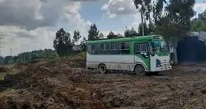Isuzu Executive Bus 2003 White