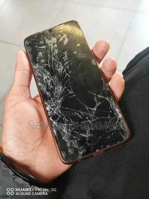 Samsung ZV60