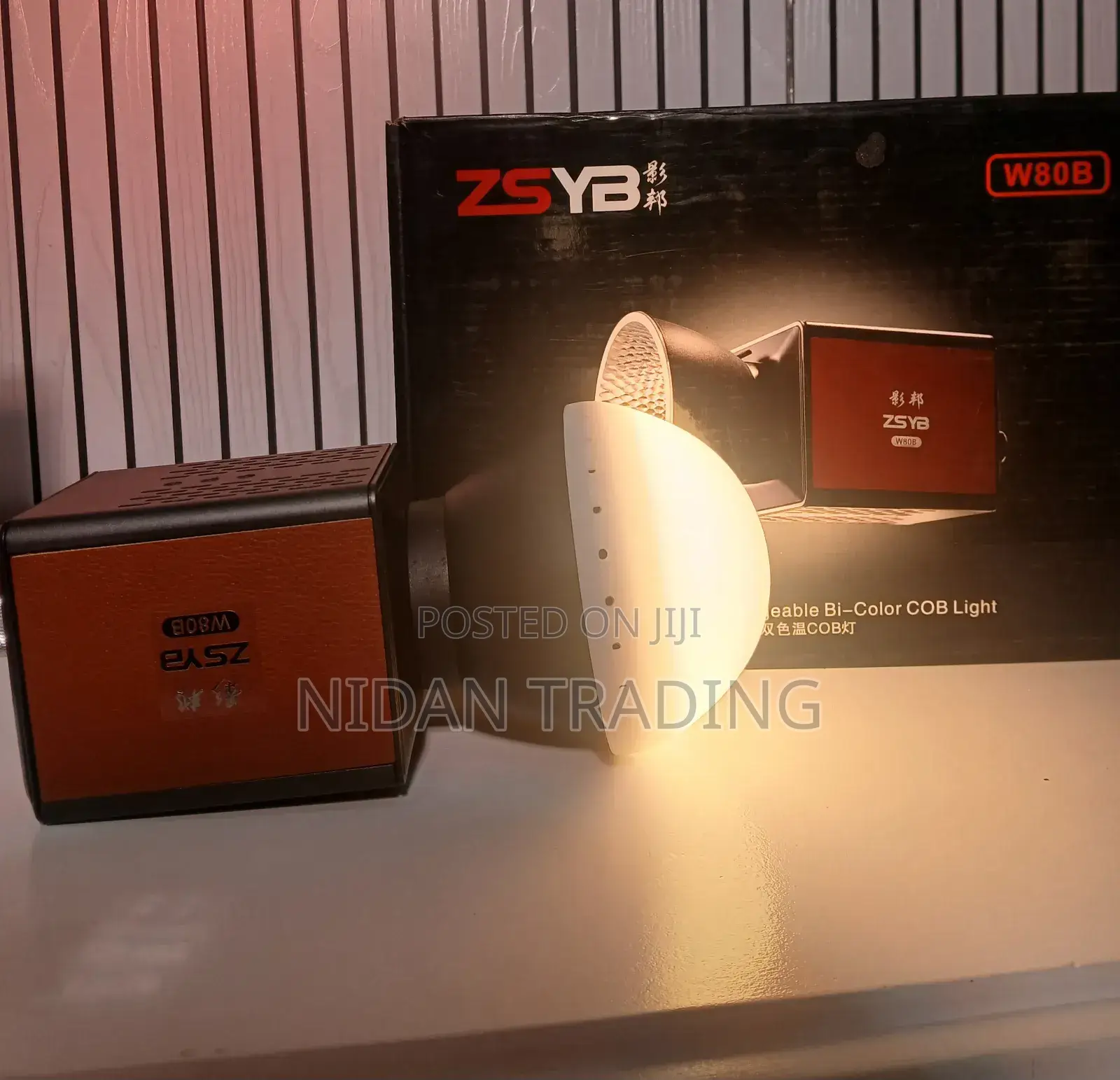 Chargeable Light