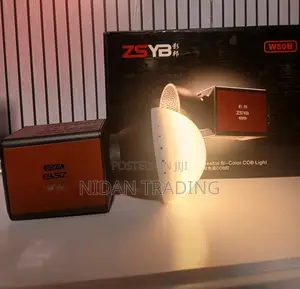 Chargeable Light